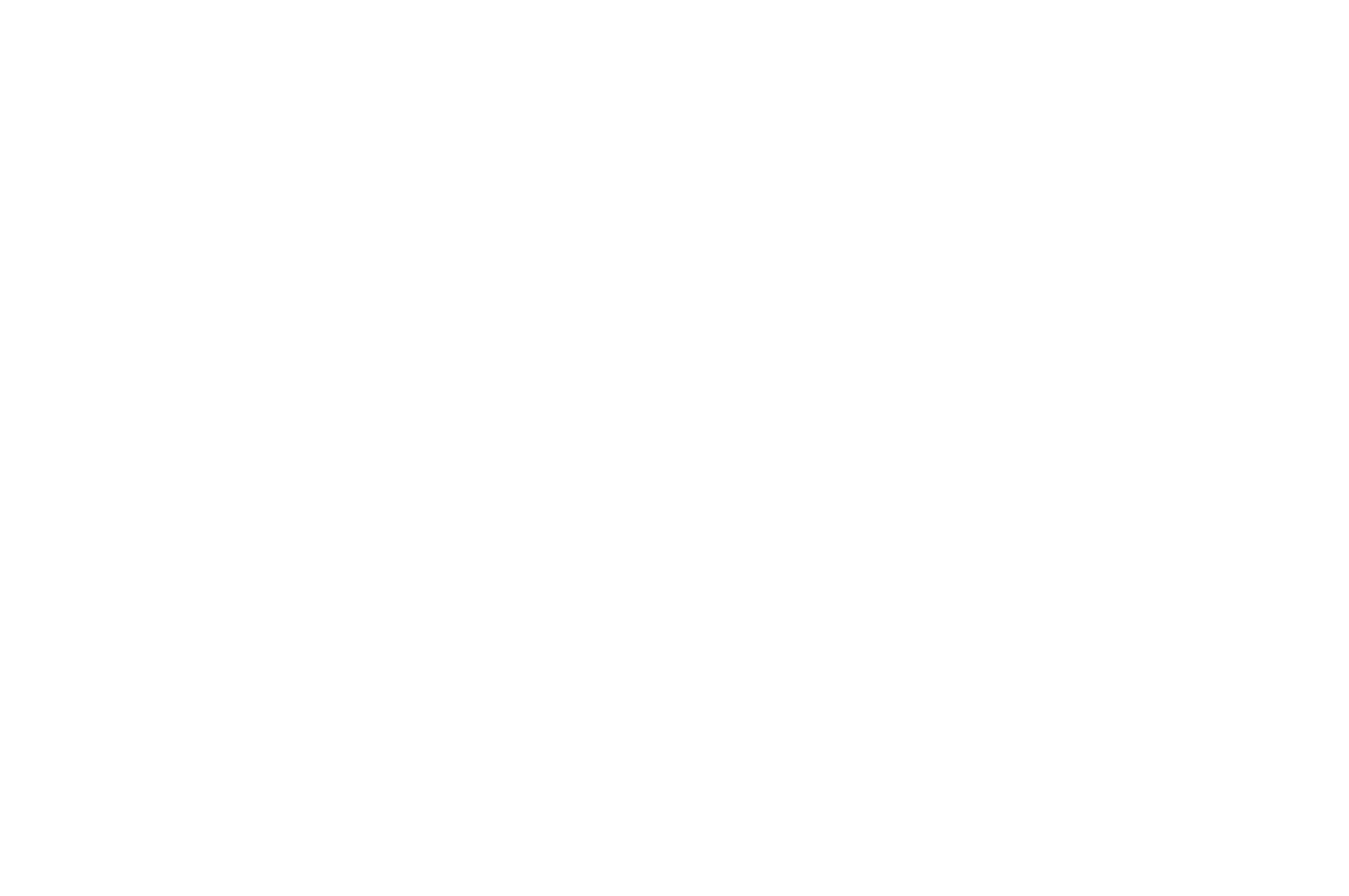 BEST SPORT FILM Toronto International Women Film Festival Laurel